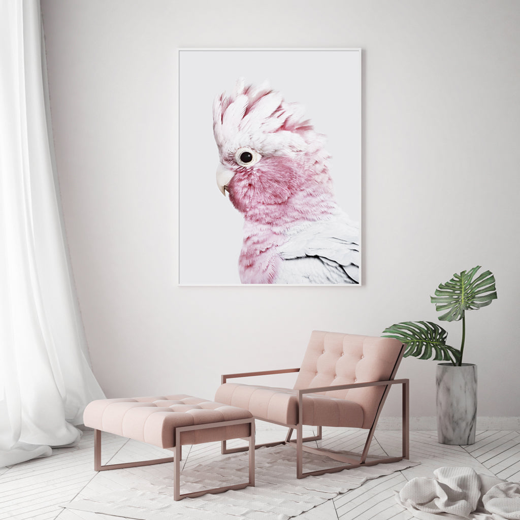 Wall Art 90cmx135cm Pink Galah White Frame Canvas