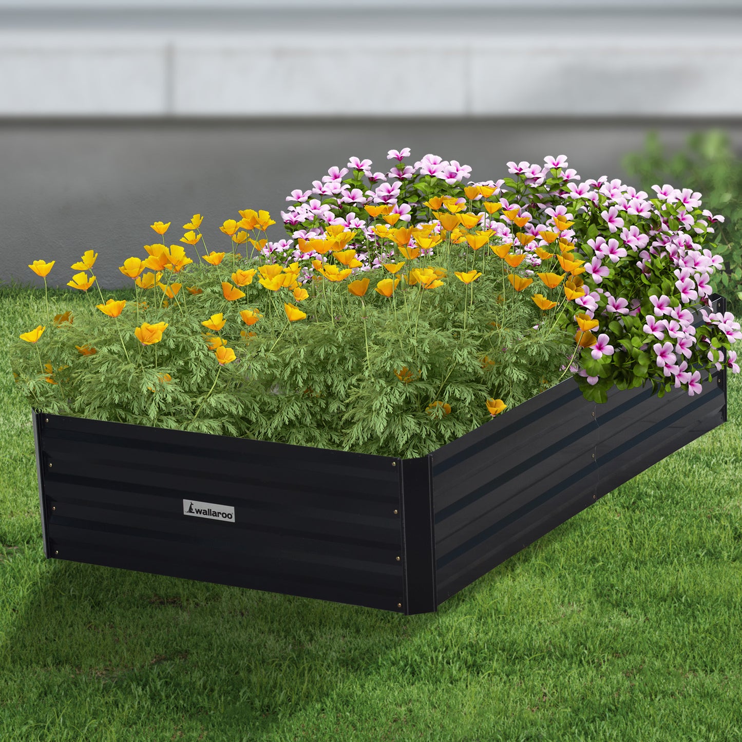 Wallaroo 150 x 90 x 30cm Galvanized Steel Garden Bed - Black