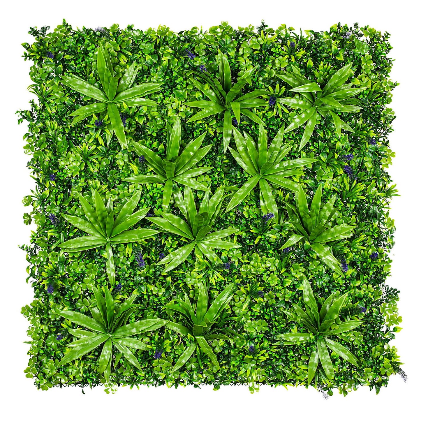 Lavandula Vertical Garden / Green Wall UV Resistant 1m X 1m