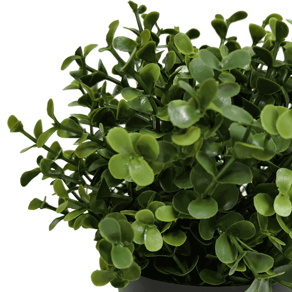 Small Potted Artificial Buxus Plant UV Resistant 20cm