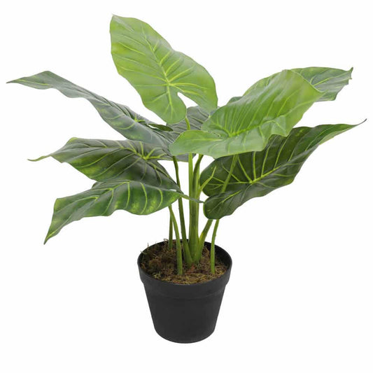 Artificial Potted Taro Plant / Elephant Ear 55cm
