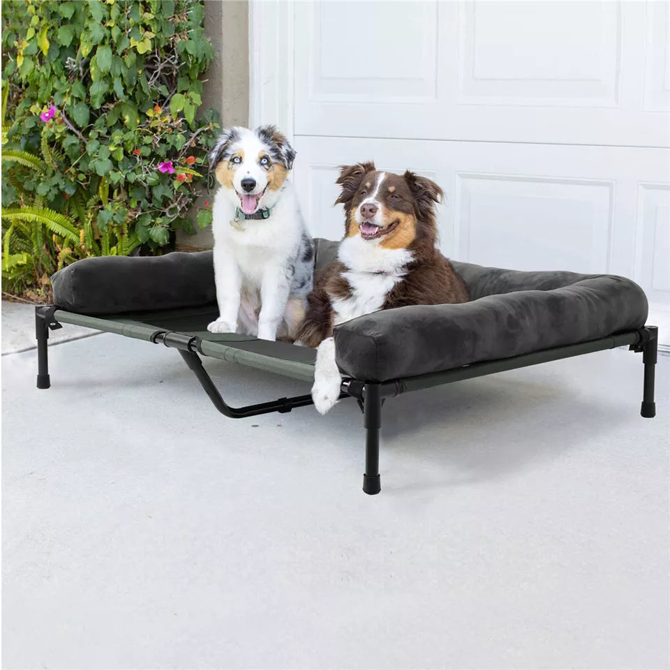 P&P Pet Cot with Bolster Support and Breathable Mesh Design for Dogs to Lounge